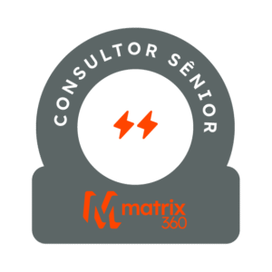Consultor Sênior